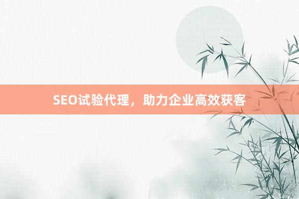 SEO试验代理，助力企业高效获客