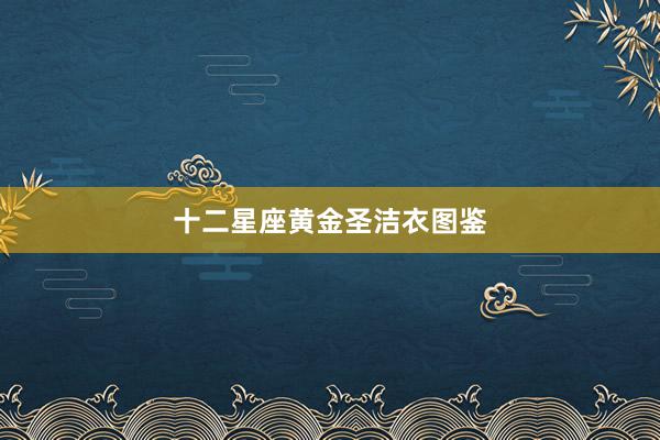 十二星座黄金圣洁衣图鉴