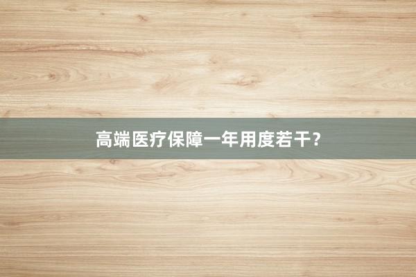 高端医疗保障一年用度若干？