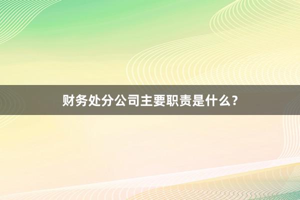 财务处分公司主要职责是什么？